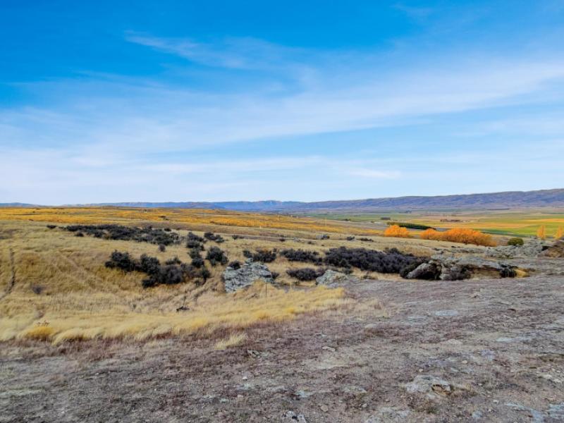 lot-1-mcintosh-road--ophir