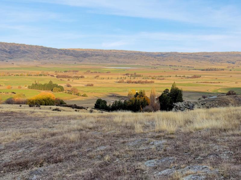 lot-1-mcintosh-road--ophir