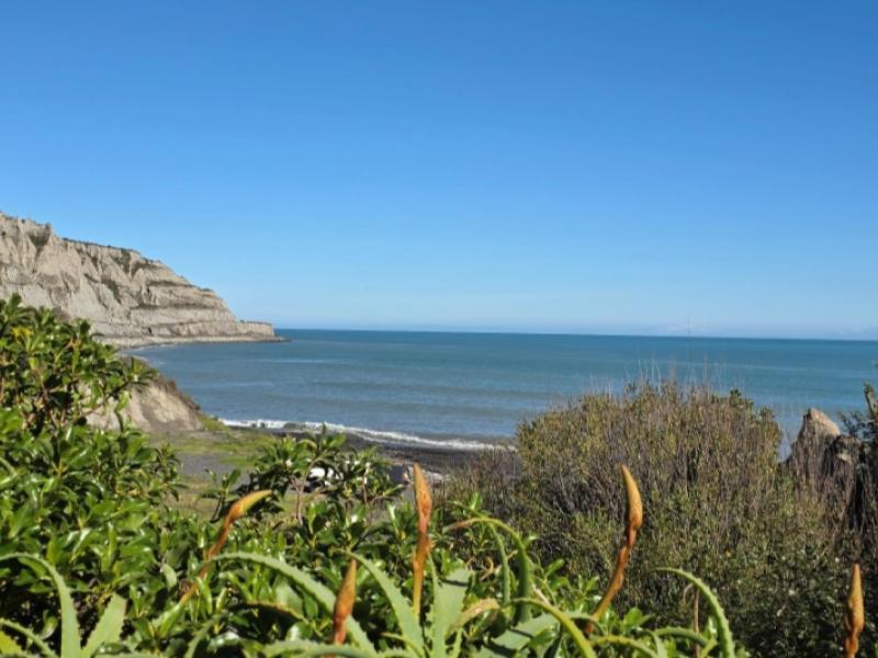1475-cape-palliser-road--te-kopi-cape-palliser