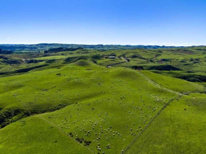 767-te-akau-coast-road-te-akau