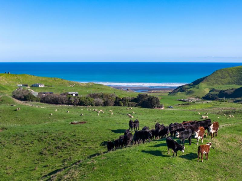 767-te-akau-coast-road-te-akau