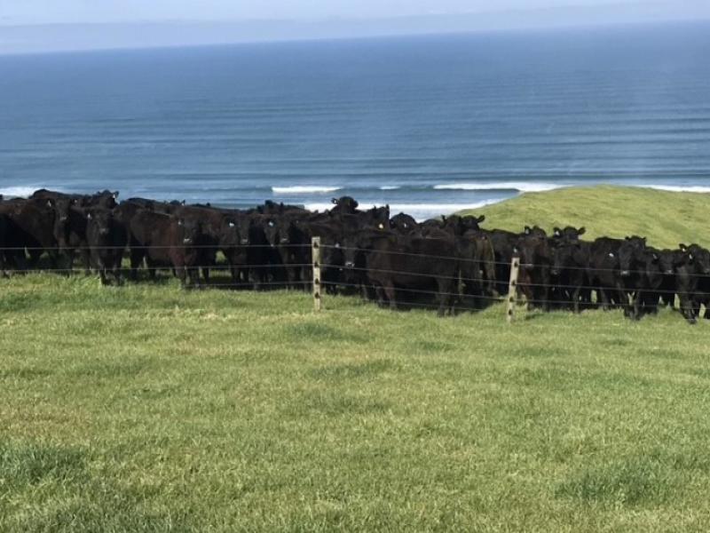 767-te-akau-coast-road-te-akau