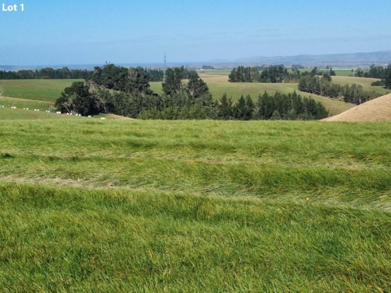 cameron-road-hillend-balclutha