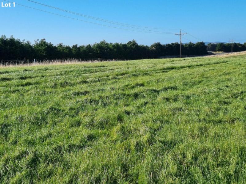 cameron-road-hillend-balclutha