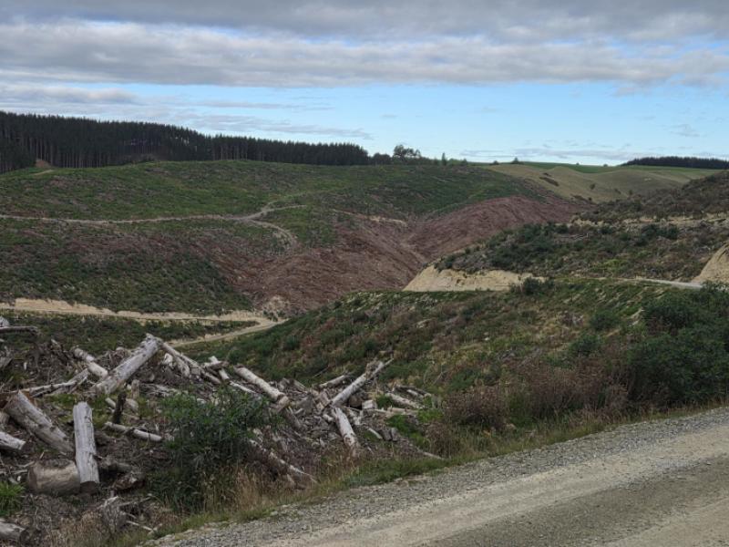 broad-gully-road-ikawai