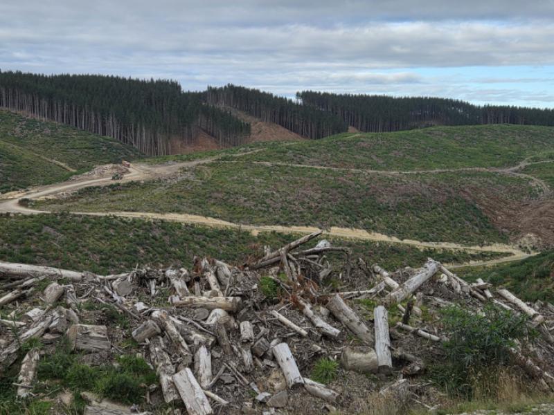 broad-gully-road-ikawai