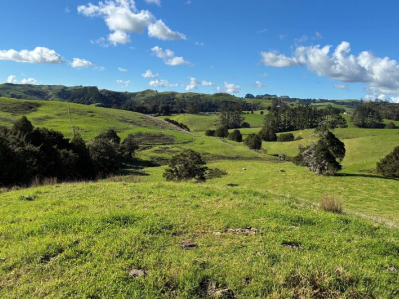 paparoa-road-mangapai