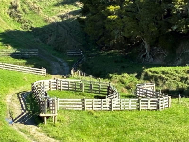 paparoa-road-mangapai