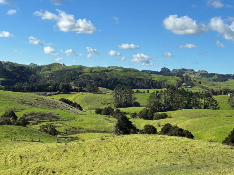 paparoa-road-mangapai