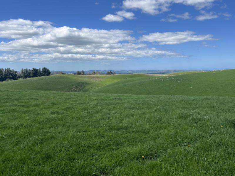 dunrobin-road-five-forks