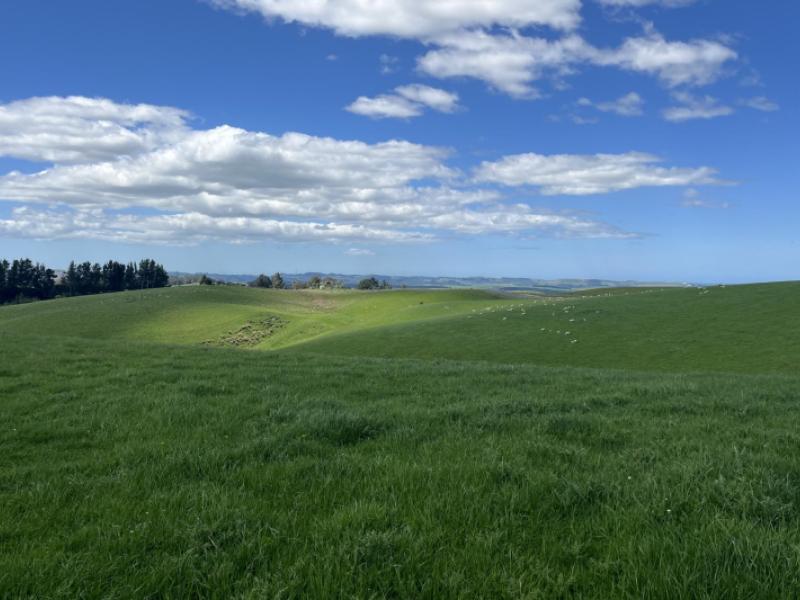 dunrobin-road-five-forks