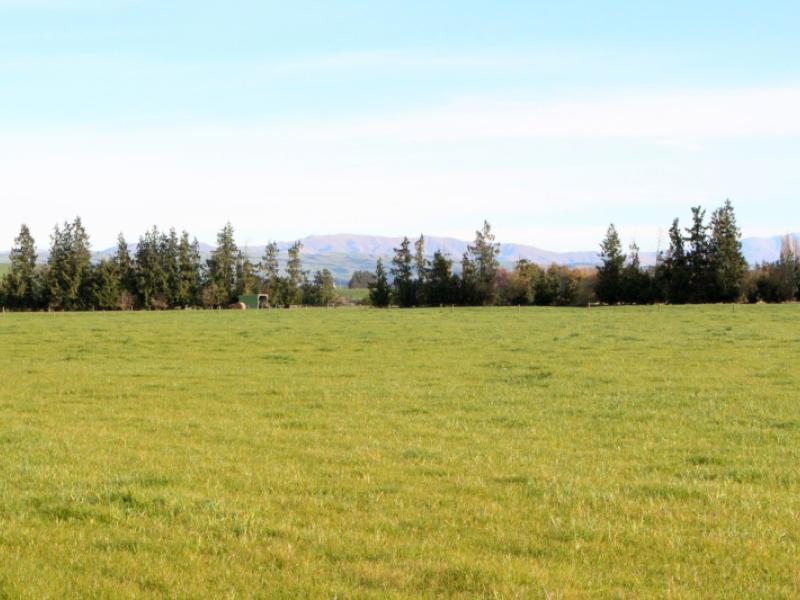 totara-valley-road-pleasant-point