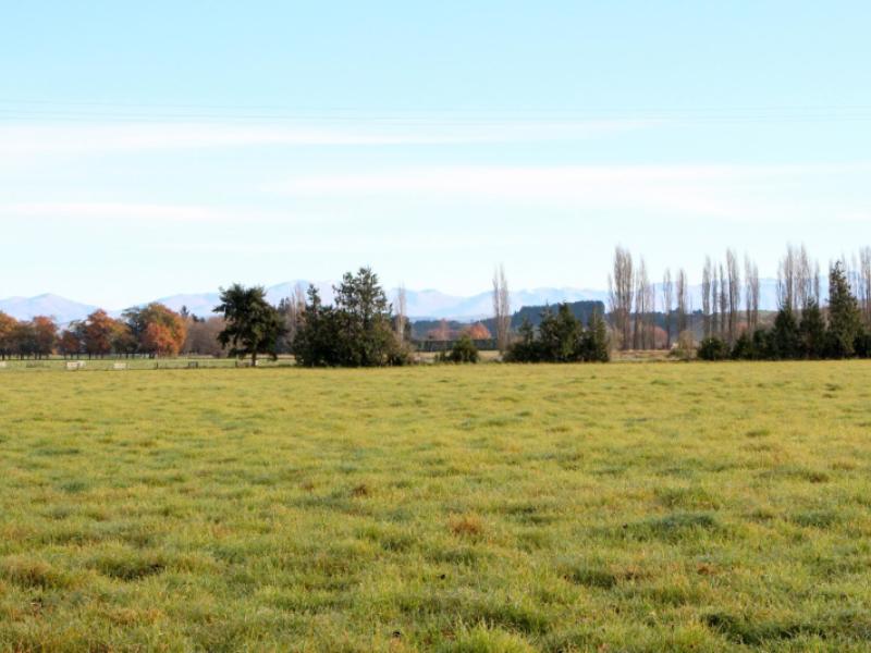 totara-valley-road-pleasant-point