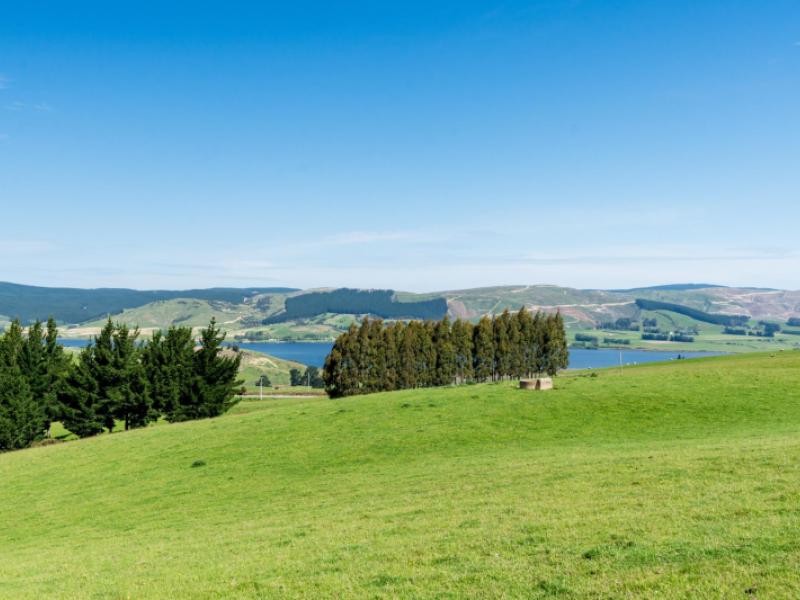 waihola-hill-road-clarendon