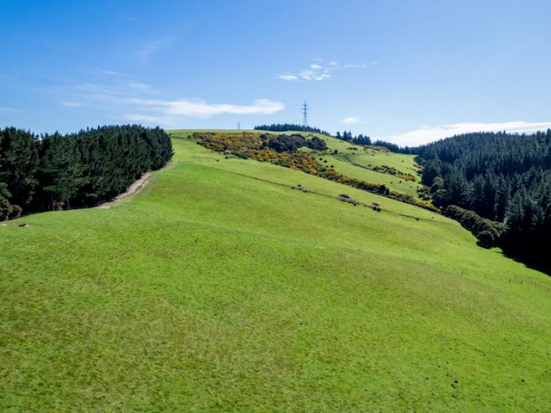 waihola-hill-road-clarendon