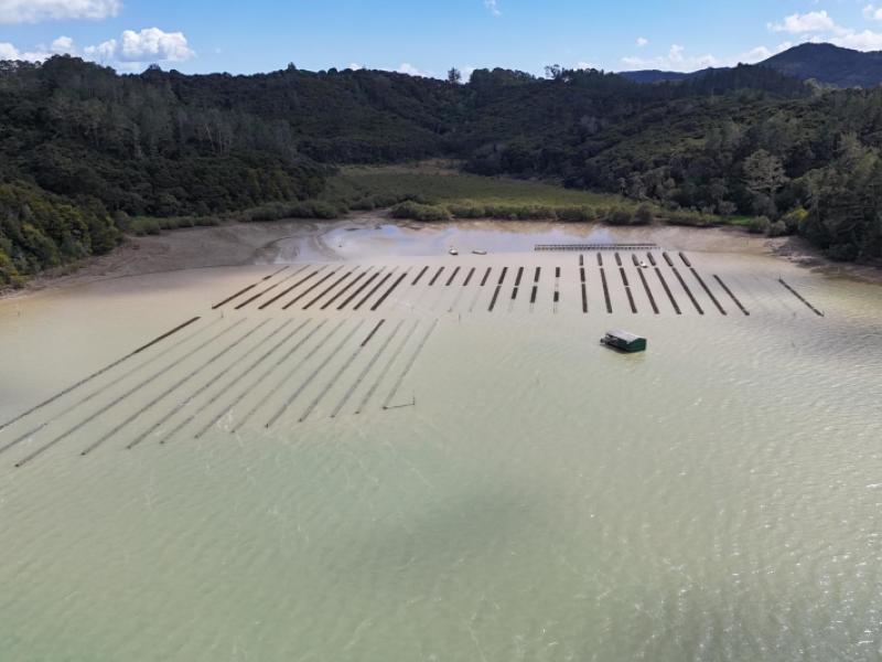 waikare-inlet-opua