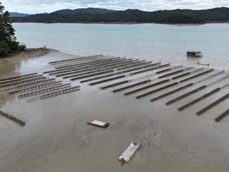 waikare-inlet-opua