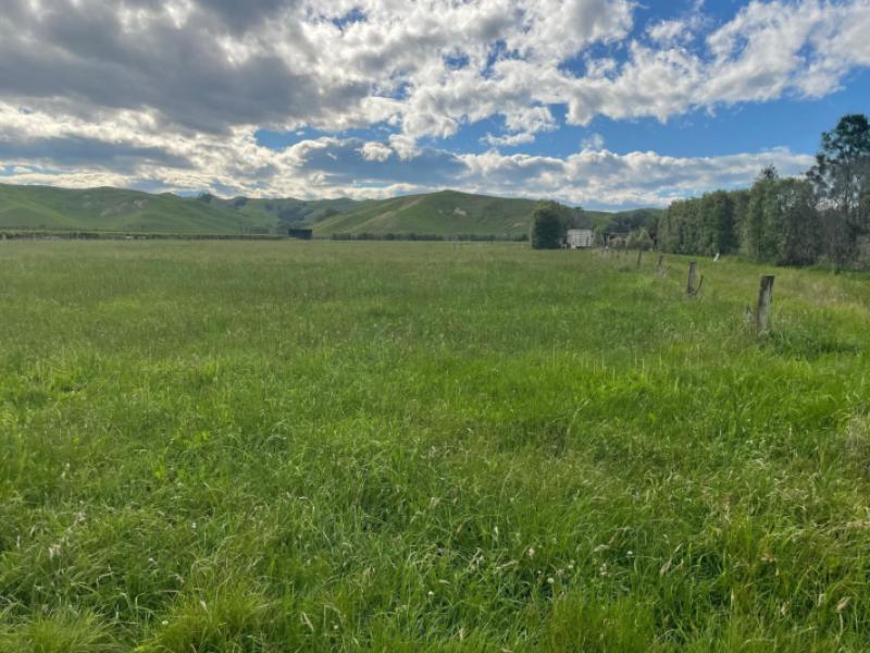 174-moteo-pa-road-puketapu