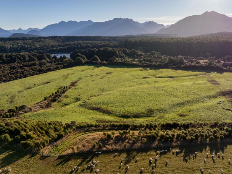 1223-manapouri-te-anau-highway-manapouri