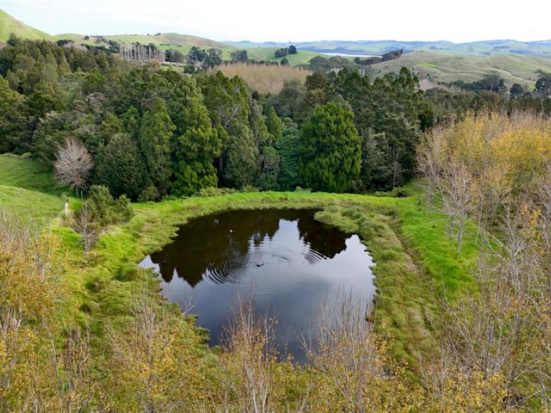 4062-kaipara-coast-highway-tauhoa