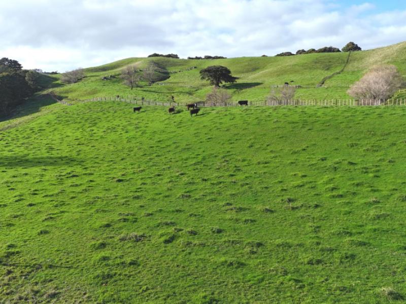 4326-kaipara-coast-highway-tauhoa