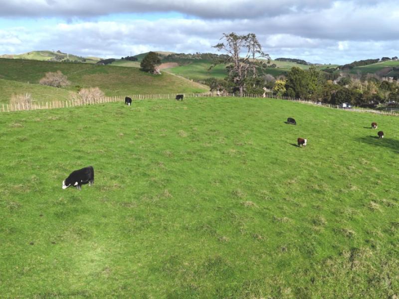4326-kaipara-coast-highway-tauhoa