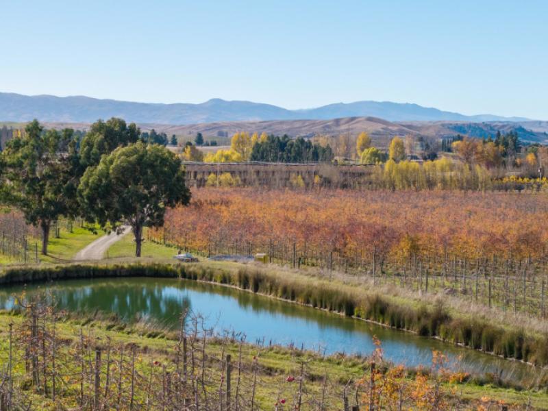 75-rockview-road-alexandra