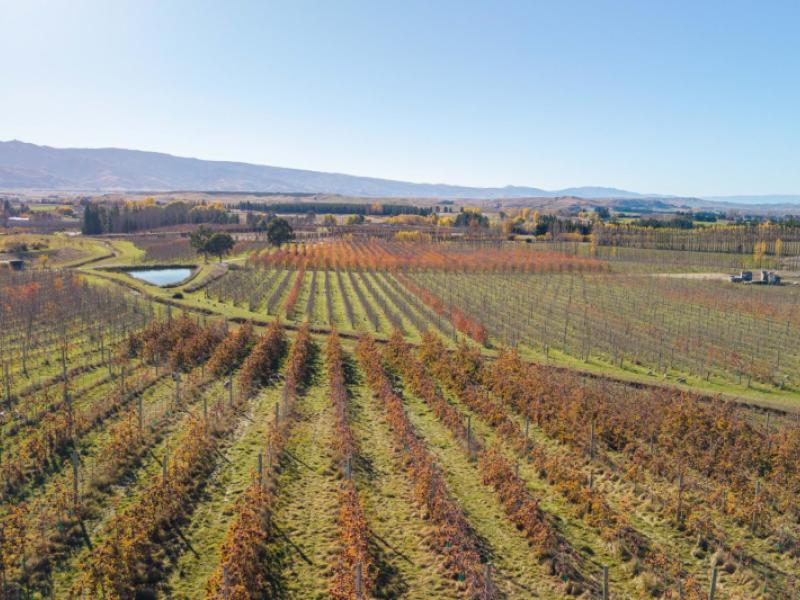 75-rockview-road-alexandra