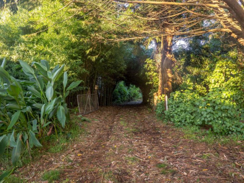 12-glendining-road-waihua