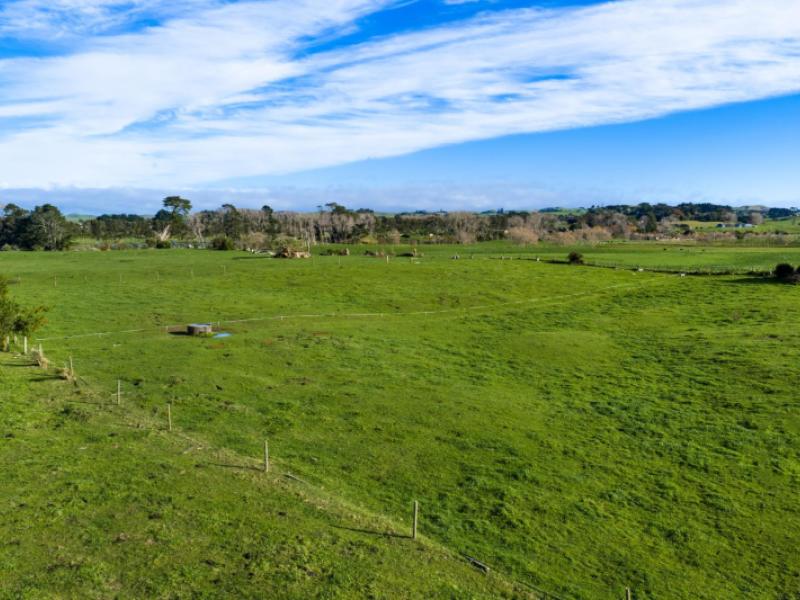 45-karioitahi-road-waiuku