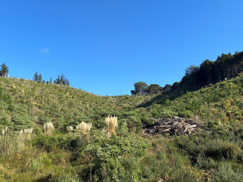 taraunui-road-parua-bay