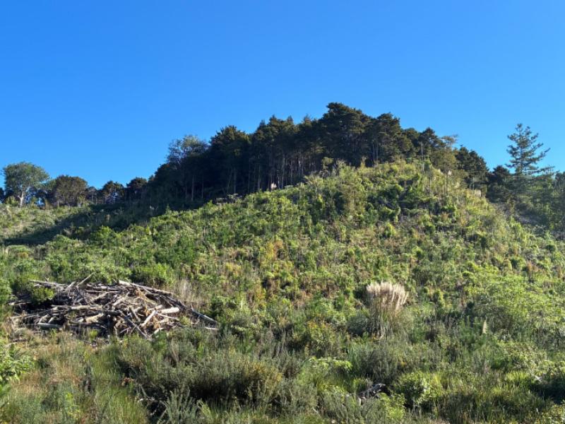 taraunui-road-parua-bay
