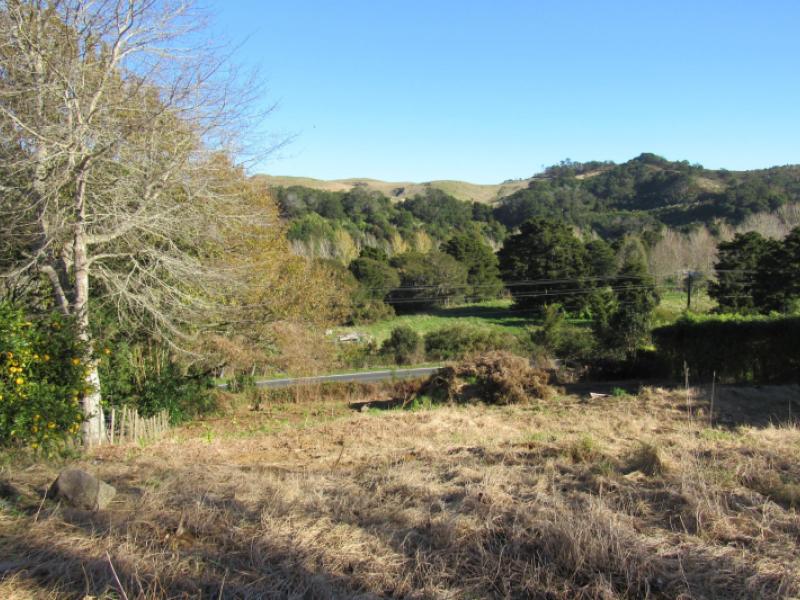 16-woodstock-avenue-karangahake