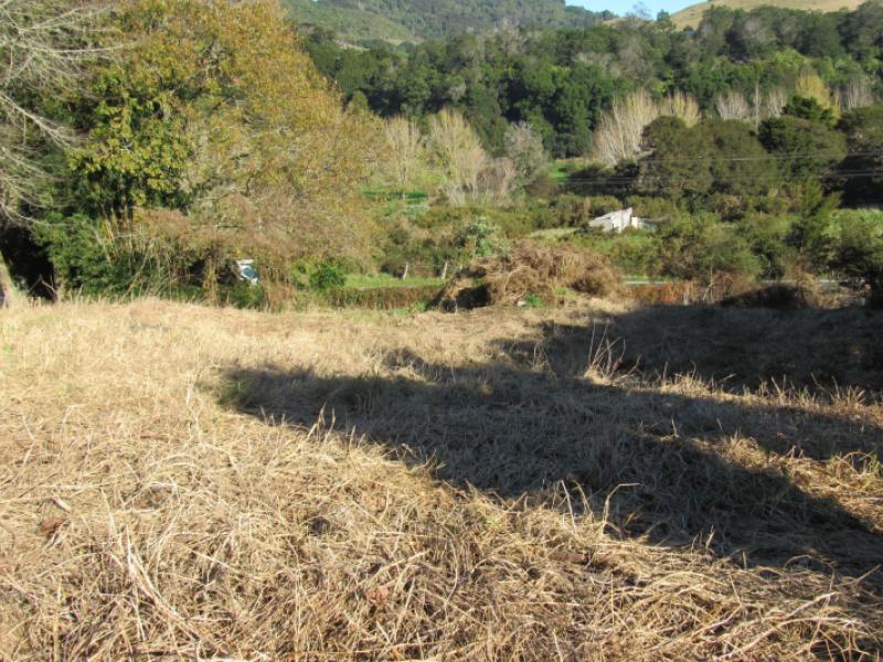 16-woodstock-avenue-karangahake