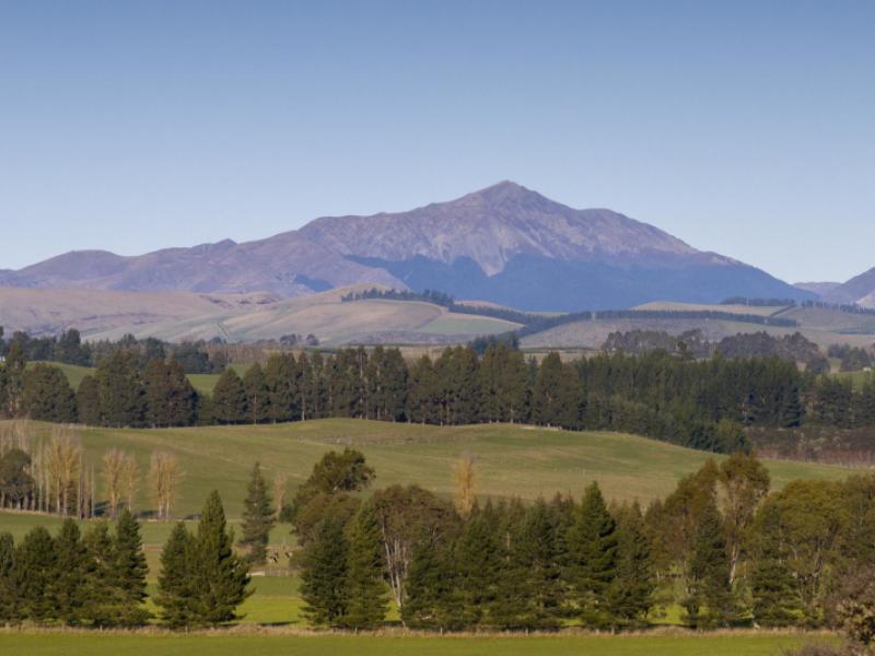 690-kakapo-road-te-anau