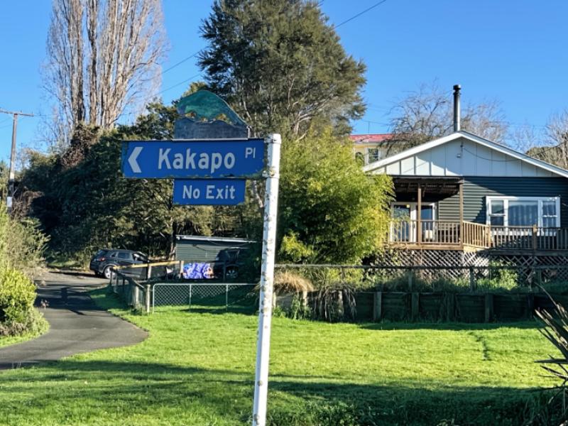 11-kakapo-place-