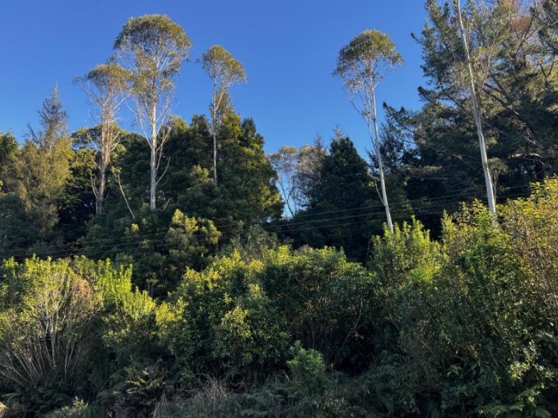 404-rutherglen-road-paroa