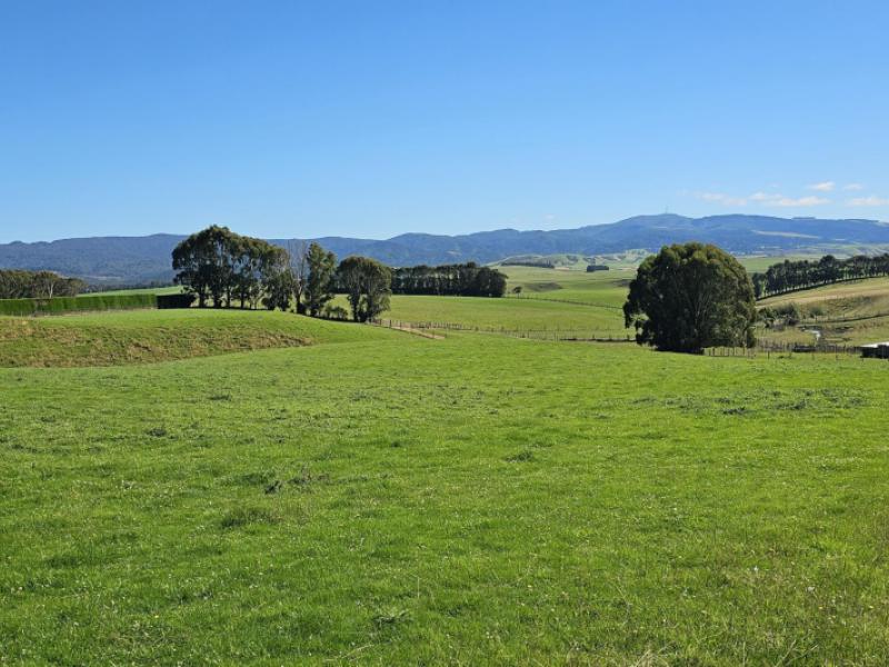 1550-waimumu-road-te-tipua