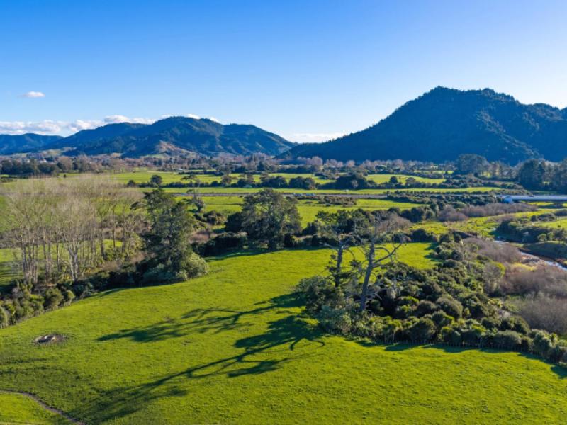 waring-road-taupiri--huntly