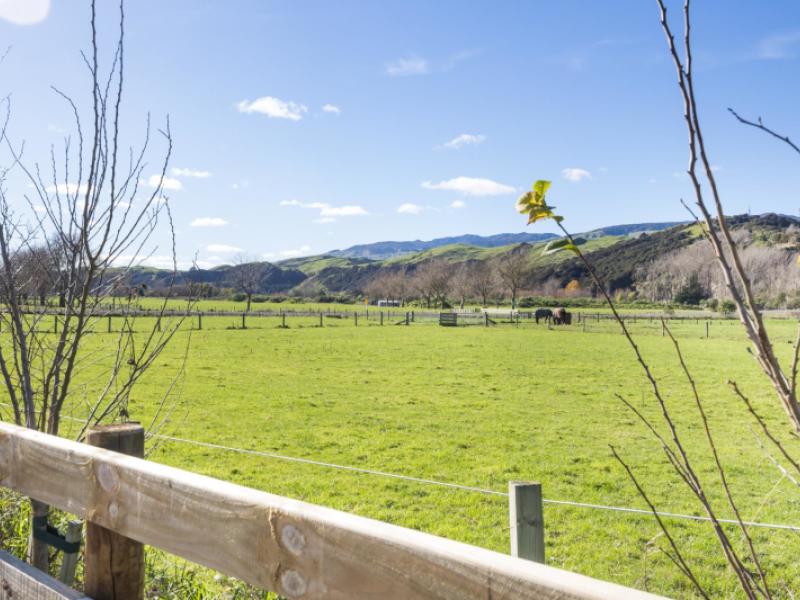 19-river-road-ashhurst