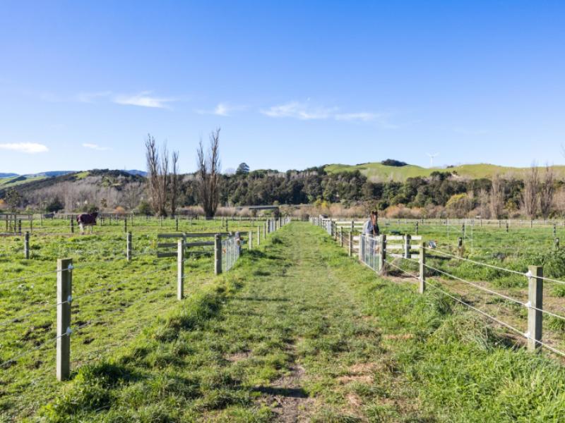19-river-road-ashhurst