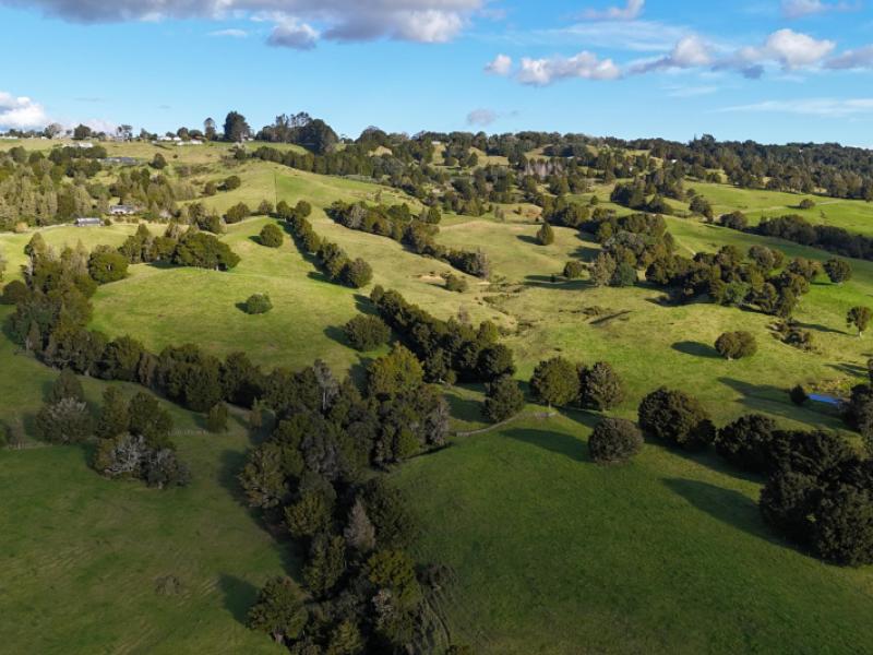 1387-state-highway-1-okaihau