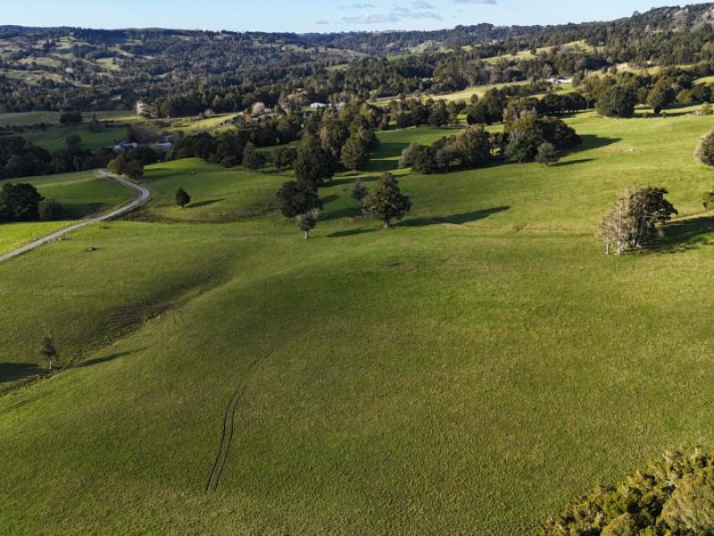 1387-state-highway-1-okaihau