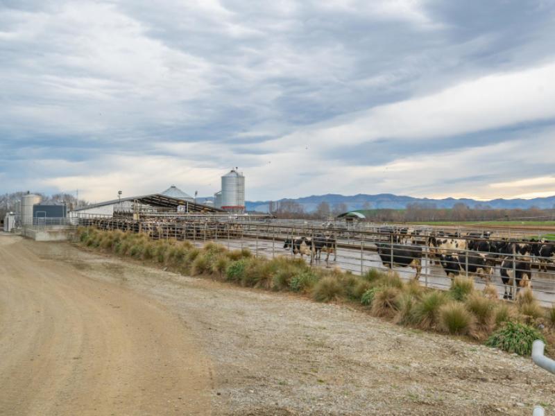 238-and-119-pooke-road-and-timaru-pareora-highway-pareora