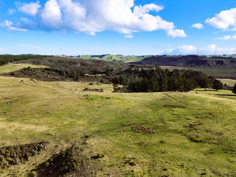 lot-2-state-highway-12-dargaville