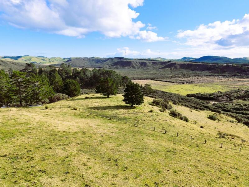 lot-2-state-highway-12-dargaville
