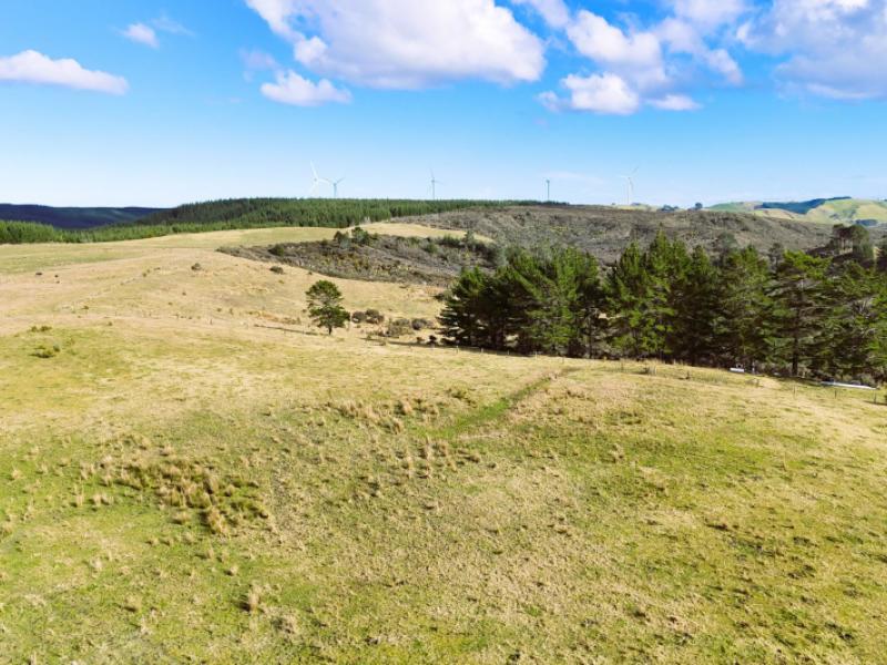 lot-2-state-highway-12-dargaville
