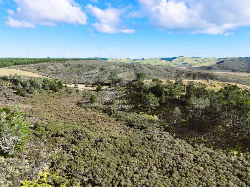 lot-1-state-highway-12-dargaville