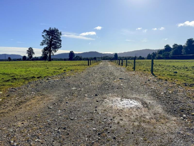 288-state-highway-6-fox-glacier