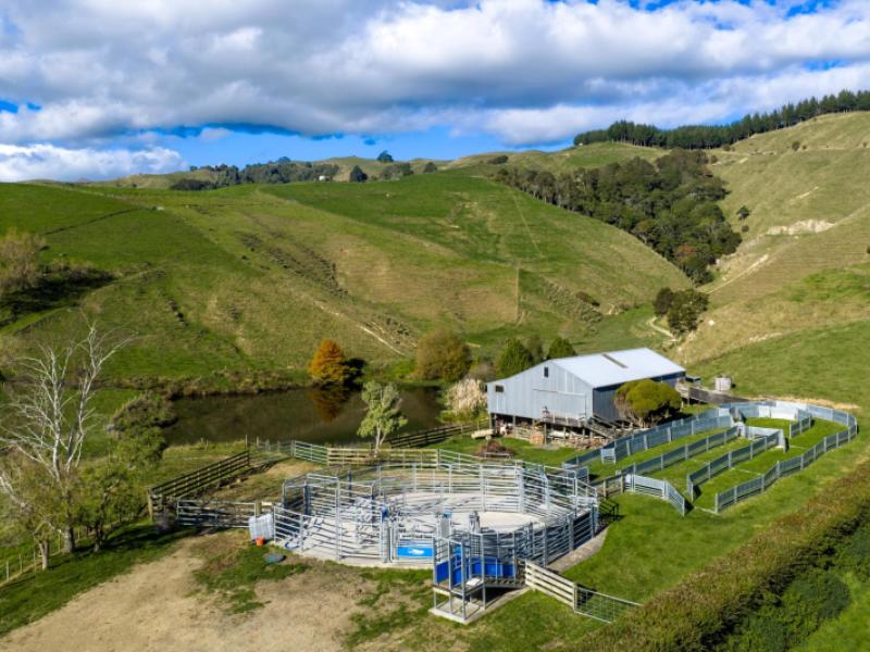 363-grice-road-rotoorangi